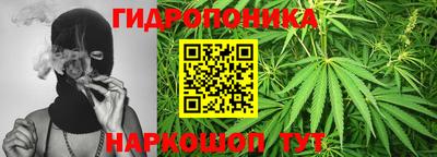 ALPHA PVP Кингисепп