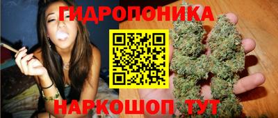 стафф Кимры