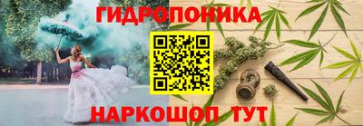 ALPHA PVP Кингисепп