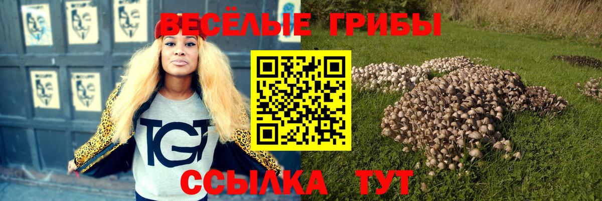 Псилоцибиновые грибы прущие грибы  Вход с VPN  Звенигород  Галлюциногенные грибы Magic Shrooms 